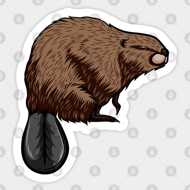 Beaver Sticker by Sticker Steve